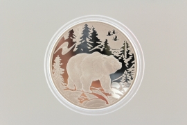 3 ROUBLES 2009 - BEAR 