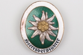 Heer "Heeresbergführer" Alpine Leader's Badge