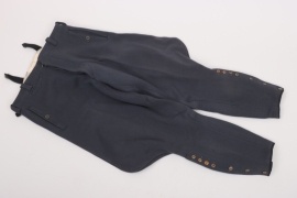 Luftwaffe breeches for officers
