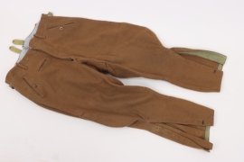 NSDAP breeches for political leaders