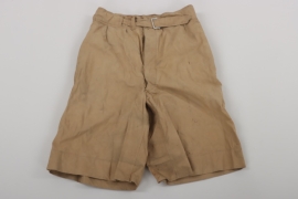 Luftwaffe tropical shorts