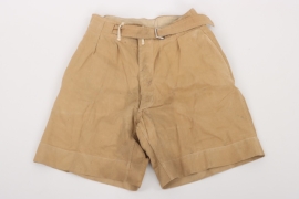 Luftwaffe tropical shorts - B41