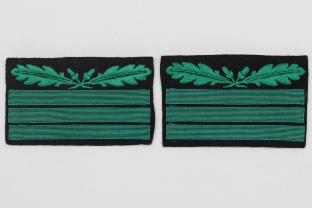 2 + Waffen-SS rank insignia - SS-Standartenführer