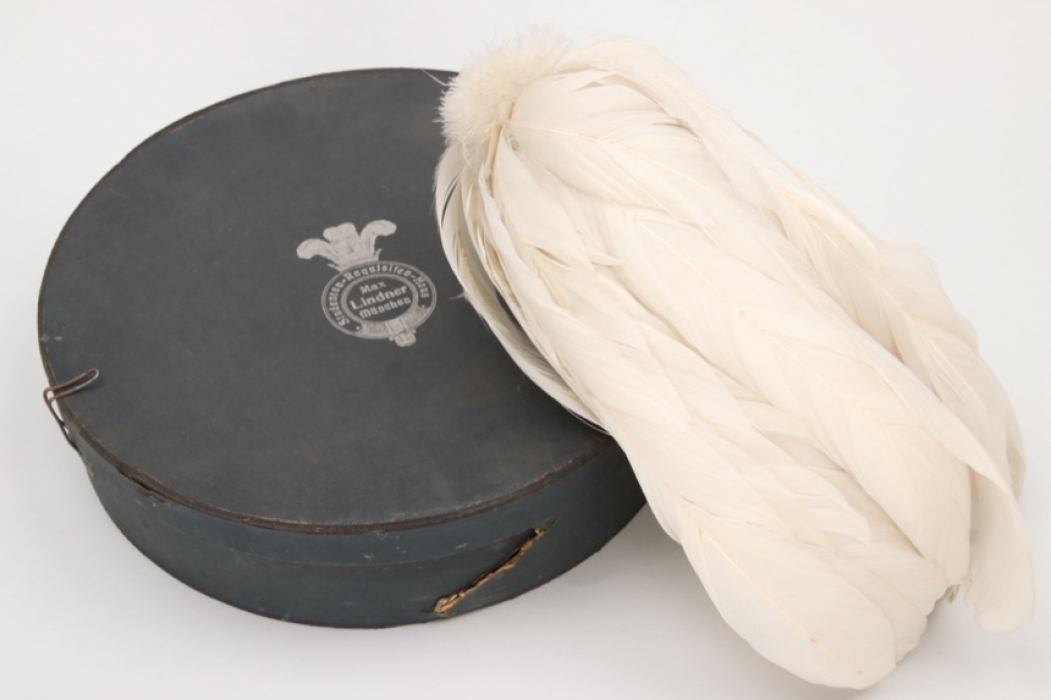 Imperial Germany - unknown helmet/hat feathers in box