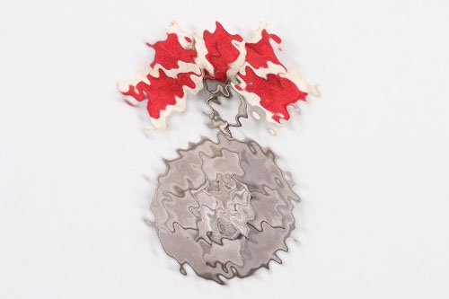 German Social Welfare Decoration Medal on bow