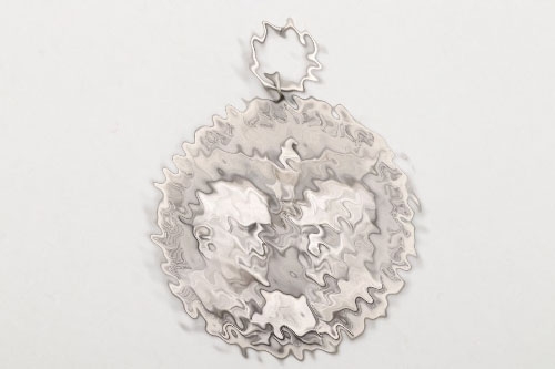 1935 "Erneuerung der Wehrpflicht" Commemorative Medal - 900