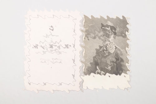 SS-Untersturmführer & Jagdflieger death card with photo
