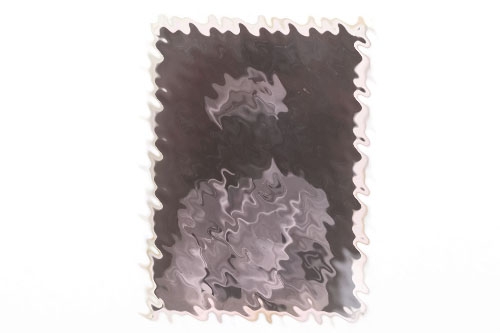 SS-Standarte "Julius Schreck" portrait glass negative