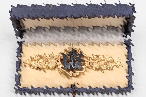Squadron Clasp for Kampfflieger in gold in case