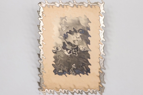 Waffen-SS Totenkopf framed portrait photo