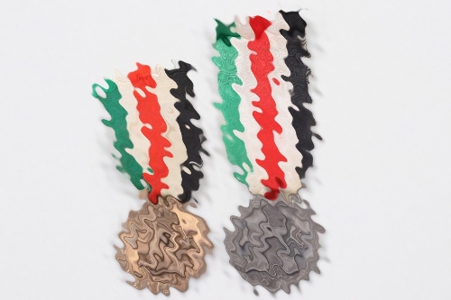 2 + German-Italian Campaign Medals