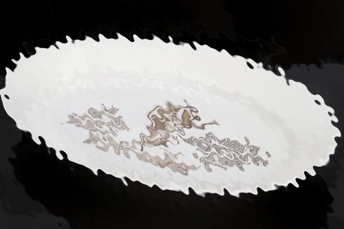 SA-Gruppe Hessen-Nassau-Süd porcelain plate