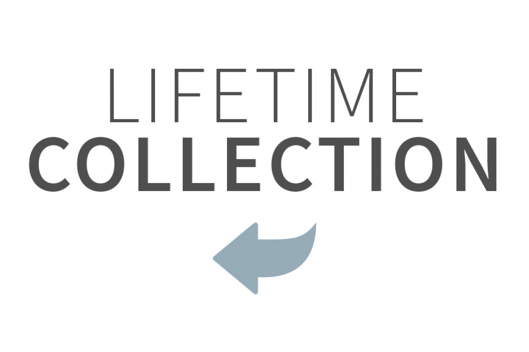 Lifetime Collection- fine porcelain