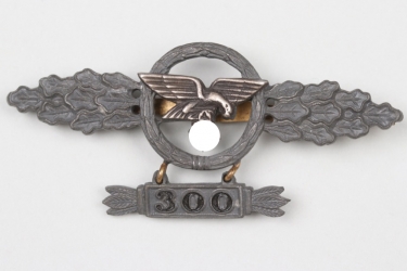 Squadron Clasp for Transportflieger in gold + "300" hanger