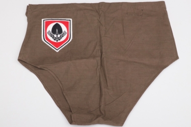 Third Reich RAD sport shorts