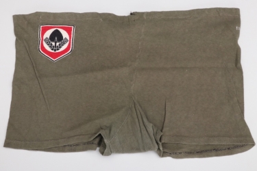 Third Reich RAD sport shorts - "5/296"