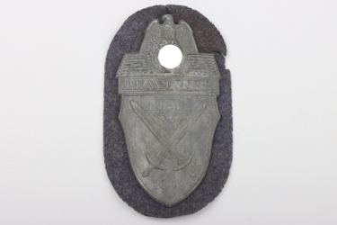 Luftwaffe Demjansk Shield