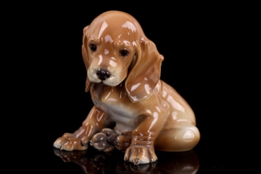 No.2 - Young Dachshund sitting - colored