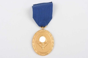 RAD Long Service Award in Gold (1st Class) - mint