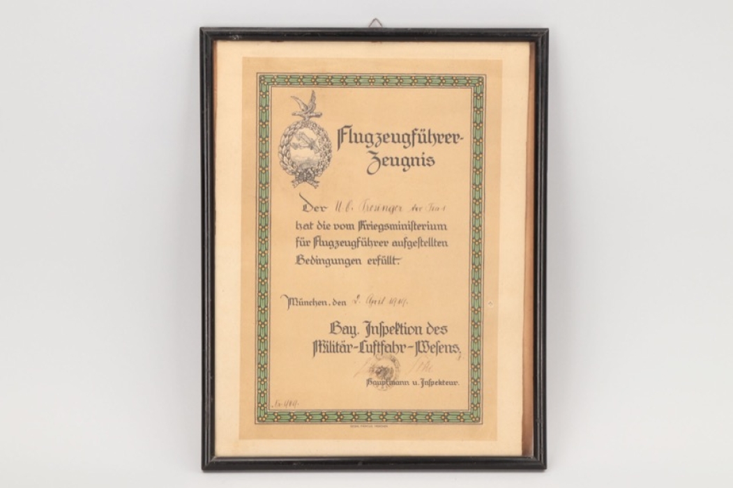WW1 Pilot's Badge certificate - 1919