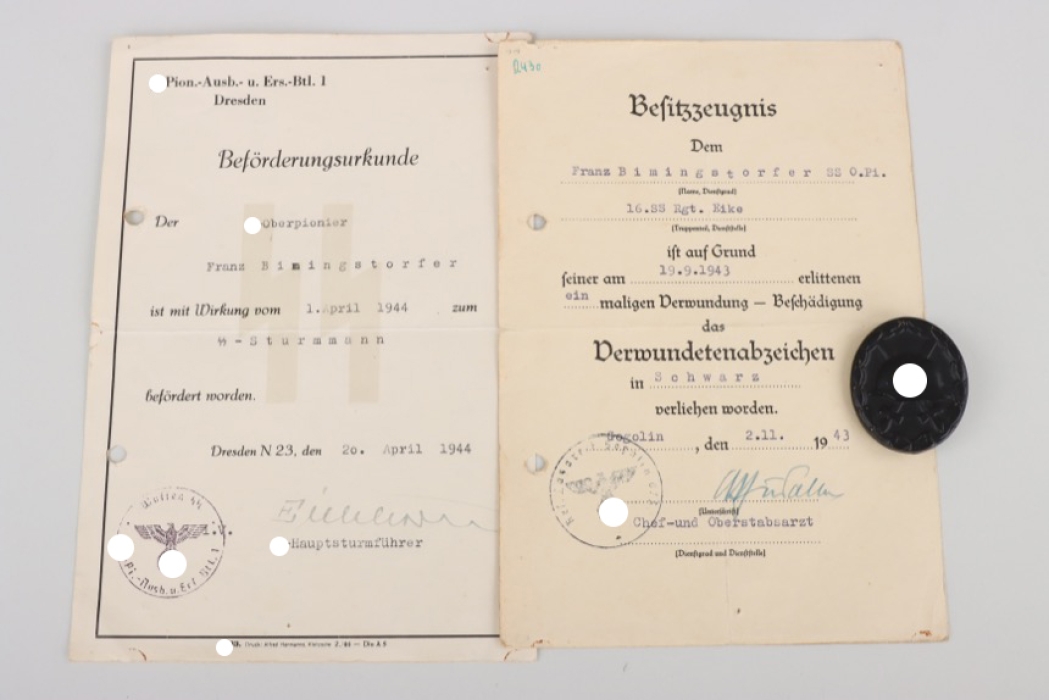 16. SS-Rgt. Eike medal and document grouping