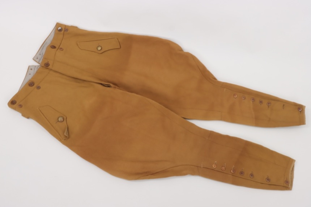 NSDAP breeches for political leaders + RZM tag
