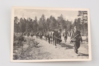 SS-Gebirgsdivision NORD postcard - Tragtierkolonne
